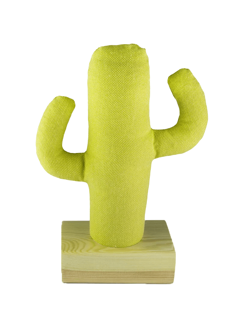 note holder cactus xl